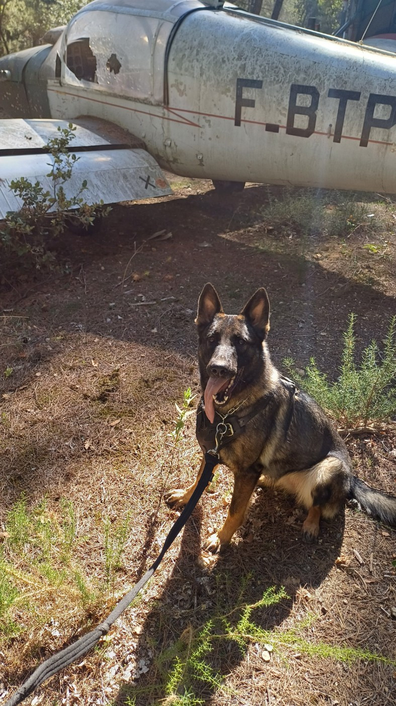 Utah Du Seigneur De La Taiga